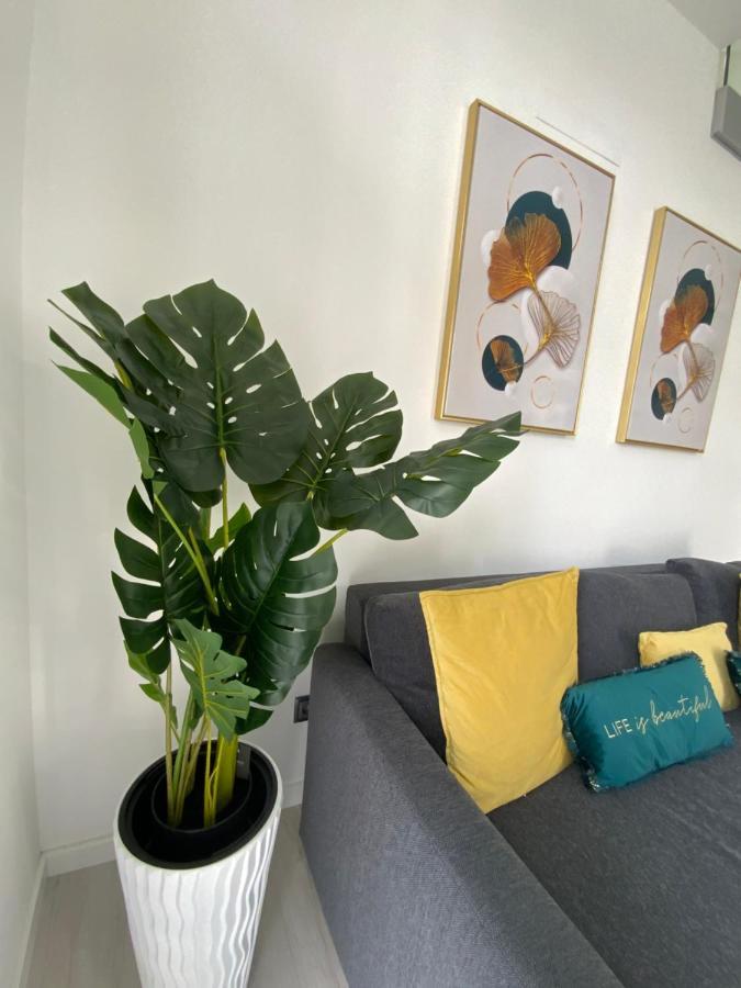 Luxury Loft Apartment Ribeira Grande Exterior photo